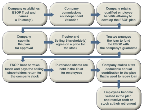 ESOP Graphic